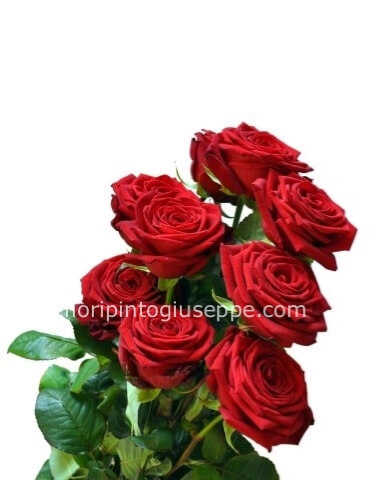 Rose rosse a stelo  80cm n5