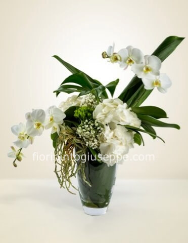composizione phalenops in vaso vetro