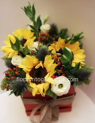 scatola di girasoli