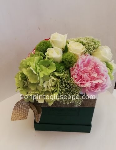offerta speciale