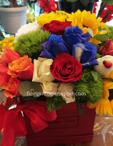 composizione in scatola