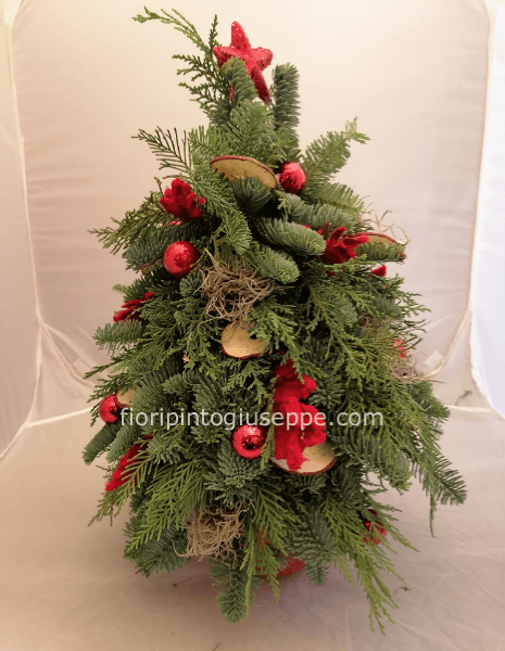 ALBERO DI NATALE
